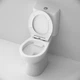 Унитаз-компакт DAMIXA Palace Bit безободковый с сиденьем Soft Close 318600SC - изображение 5