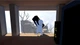 Ключ активации Steam | Human: Fall Flat - изображение 8