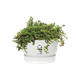 Горшок для цветов Elho Greenville Round круглый 7,6 л 25 x 23 см (332235) Белый - изображение 6