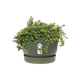 Горшок для цветов Elho Greenville bowl круглый 11,6л 33 x 19 см (332464) Зеленный - изображение 5