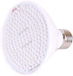 Светодиодная LED фитолампа для роста растений, для комнатных цветов, рассады, орхидей VENOM 9W SMD2835 220В (FL-P-005-9) - изображение 1