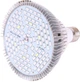 Светодиодная LED фитолампа для роста растений, для комнатных цветов, рассады, орхидей VENOM 80W SMD5730 220В (FL-P-011-80) - изображение 1