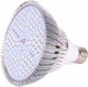 Светодиодная LED фитолампа для роста растений, для комнатных цветов, рассады, орхидей VENOM 80W SMD5730 220В (FL-P-011-80) - изображение 2