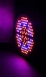 Светодиодная LED фитолампа для роста растений, для комнатных цветов, рассады, орхидей VENOM 80W SMD5730 220В (FL-P-011-80) - изображение 3