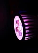 Светодиодная LED фитолампа для роста растений, для комнатных цветов, рассады, орхидей VENOM 10W SMD5730 220В (FL-P-010W-10) - изображение 3