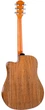 Акустическая гитара Tayste TS-25-41 - изображение 2