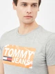 Футболка хлопковая длинная мужская Tommy Jeans 10639.2 S Серая - изображение 4
