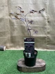 Японский клен (Japanese maple) Special Selection Black Lace, 60-80 см, объем горшка 3л (RG018) - изображение 2