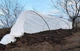 Парник Agrolife 30 д. 5 м (10333020) - изображение 3