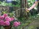 Шланг Karcher Performance Plus 25 м 5/8" (2.645-320.0) - зображення 6