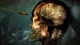 Гра Zombie Army 4: Dead War для ПК (Ключ активації Steam) - зображення 2