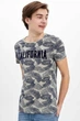 Футболка Defacto з листяним принтом California XL Сіра (DeF T-shirt -7016-3) - зображення 1