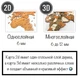 Дерев'яна карта світу 3D Primax-art 150 х 90 см з написами країн, в 4-х кольорах дерева, англійською - зображення 2