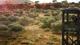 Ключ активации Hunting Simulator 2 для Xbox One/Series - изображение 7