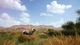 Ключ активации Hunting Simulator 2 для Xbox One/Series - изображение 8