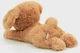 М'яка іграшка - обнімашка Щеня Tm Toys Snuggiez (Dkh8222) - зображення 3