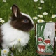 Вітамінно мінеральний добавка ( концентрат ) Шенкон ShenMIX Rabbit Pro 2.5% для кроликів всіх вікових груп та інших хутрових тварин 25кг P36 - зображення 3