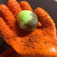 Перчатки для чистки овощей FOD Tater Mitts 2 шт - изображение 2