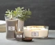 Ароматична свіча WoodWick Ellipse White Tea & Jasmine 453 г - изображение 3