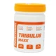 Трибулус BioLine Nutrittion MAXX Terrestris 90% saponins 90 капсул - зображення 1