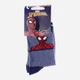 Дитячі шкарпетки бавовняні для хлопчиків Disney Spiderman 83892247-4 23-26 Джинсові (3349610008158) - зображення 2