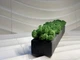 ​Стабилизированный мох в бетонном кашпо – ручной работы. - изображение 2