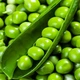 Семена гороха Преладо, Syngenta, 10 г. - изображение 1