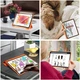 Силіконовий чохол обкладинка + Pencil Holder BBM1 для iPad Pro 11" 2020 Помаранчевий - зображення 5