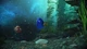 Ключ активації Rush: A DisneyPixar Adventure для Xbox One/Series - зображення 5