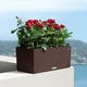 Умный горшок Lechuza Balconera Cottage 50 прямоугольный 8 л 19 x 50 x 19 см Мокко - изображение 2