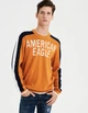Светр American Eagle AE4567M L Комбінований - зображення 1