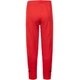 Леггинсы AKR KIDS Infantil (10621450) Красный 12 Years-152 см - изображение 2