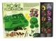 Домашний флорариум Danko toys Home florarium (Ботаника) - изображение 2
