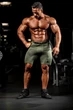 Шорты Gorilla Wear Smart Shorts S Зеленые/Хакки (9095140901) - изображение 11