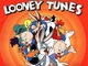 Кепка тракер Looney Tunes (Луни Тюнс) Дорожный бегун (Коричневый) с сеточкой, Унисекс WUKE One size - изображение 2