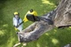 Аккумуляторный высоторез Karcher PSW 18-20 BATTERY (Без аккумулятора и зарядного устройства) (1.444-010.0) - изображение 3