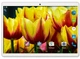 Планшет-телефон Adronix MT232 3G Silver 2/32GB + Чехол-книжка + Карта памяти 64GB - изображение 2