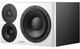 Студийный монитор Dynaudio LYD 48 Left White (1 шт.) - изображение 1