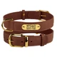 Ошейник для Собак Кожаный с Гравировкой BronzeDog Crazy Коньячный 10 мм 19-25 см (00424) - изображение 1