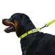 Ошейник Для Собак BronzeDog Active Нейлоновый со Светоотражением и Металлической Пряжкой с Гравировкой Салатовый 25 мм 35-53 см (34/1305) - изображение 4