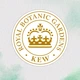 Шампунь HERBAL ESSENCES Extra Aloe+ Bambu 380мл - зображення 2