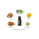 Суміш ефірних олій для відновлення рівноваги doTerra Balance® Grounding Blend "Баланс" 15 ml - зображення 3