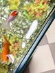 Акваріумний набір Zoocool Black ЕКО прямокутний 700-300-500 мм 105 л 5 мм (кришка міньйон) - зображення 4