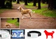 Нашийник GPS Tracker Трекер для Собак ТКSTAR Модель: ТК-911, Вага 33гр., Захист IP66 - зображення 2