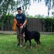 Поводок для Собак Bronzedog Active из Шнура Тренировочный Оранжевый 7 мм 1000 см (47354) - изображение 5