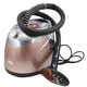 Профессиональный паровой утюг для одежды электрический DSP KD-6019 2.1L 2000W (BD028) - изображение 3