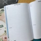 Планер блокнот дневник Учителя с Девушкой, А5 - изображение 3