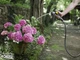 Шланг Karcher Performance Premium 1/2 - 20 м (2.645-324.0) - зображення 6