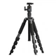 Фотоштатив Benro Travel (A2695FN2) - изображение 1