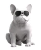 Акустика Jarre AeroBull HD1 Glossy White - изображение 1